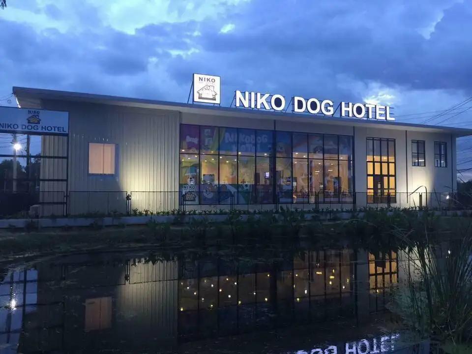  Niko Dog Hotel 