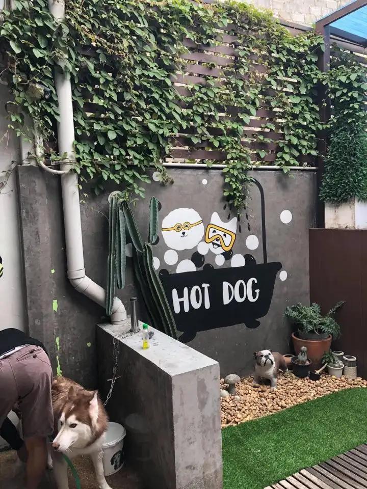 Hotdog Groom and Pool 