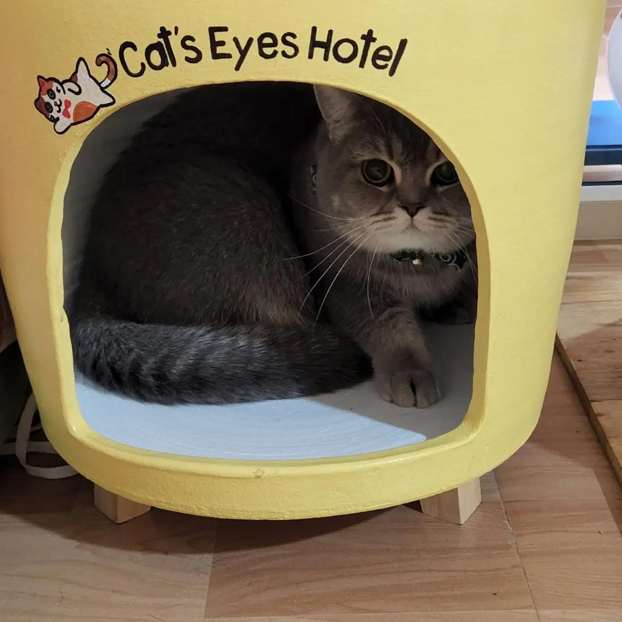 Cat's Eyes Hotel (วงศ์สว่าง) 