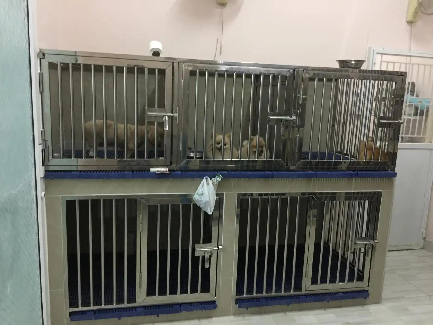 โรงพยาบาลสัตว์ลาดปลาดุก LPD Pet Hospital 