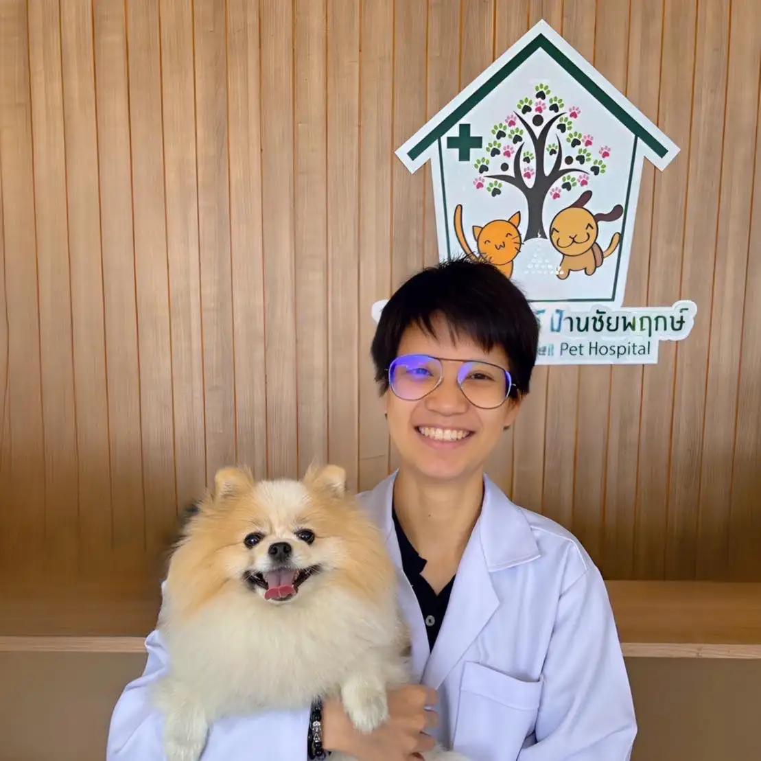 โรงพยาบาลสัตว์บ้านชัยพฤกษ์ Ban Chaiyaphruek Pet hospital 
