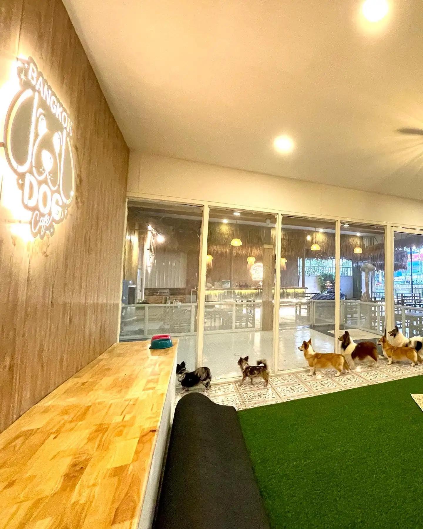Bangkok Dog Cafe - คาเฟ่ฟาร์มหมา