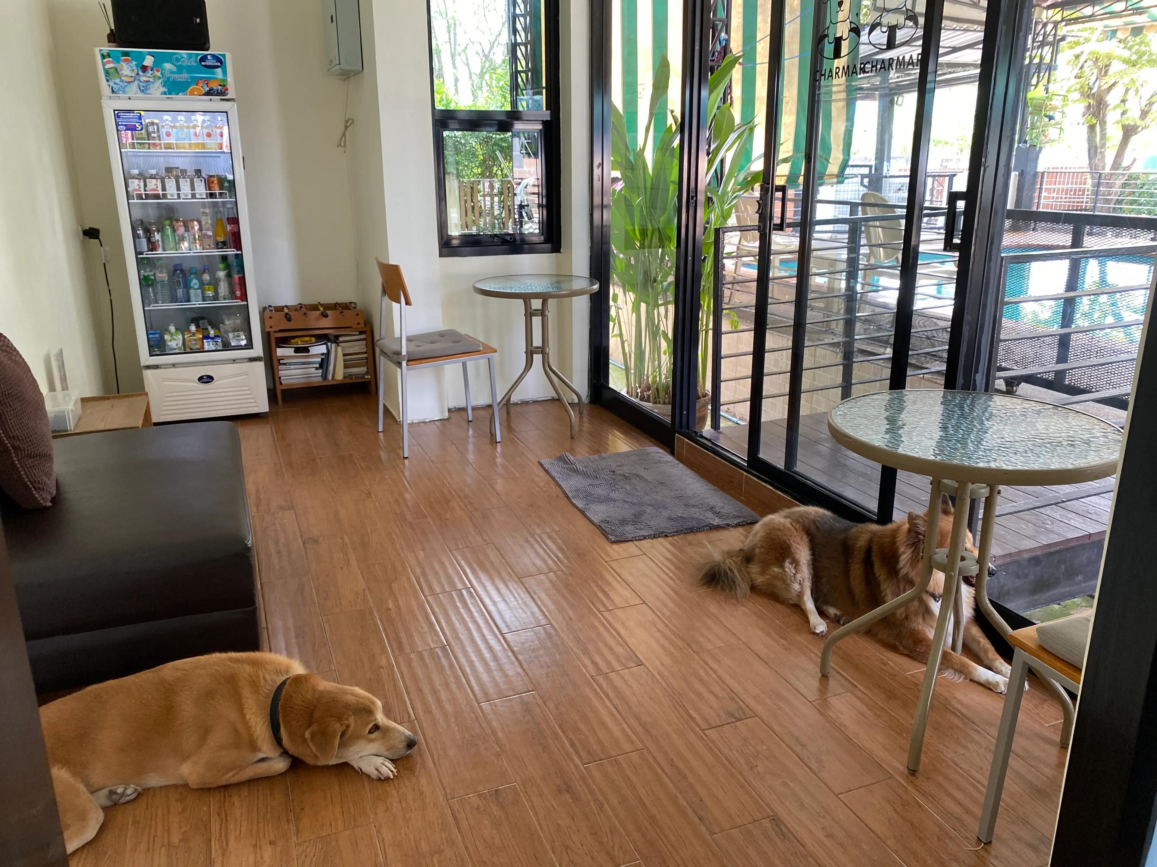 Charmar Cafe & Dog services 