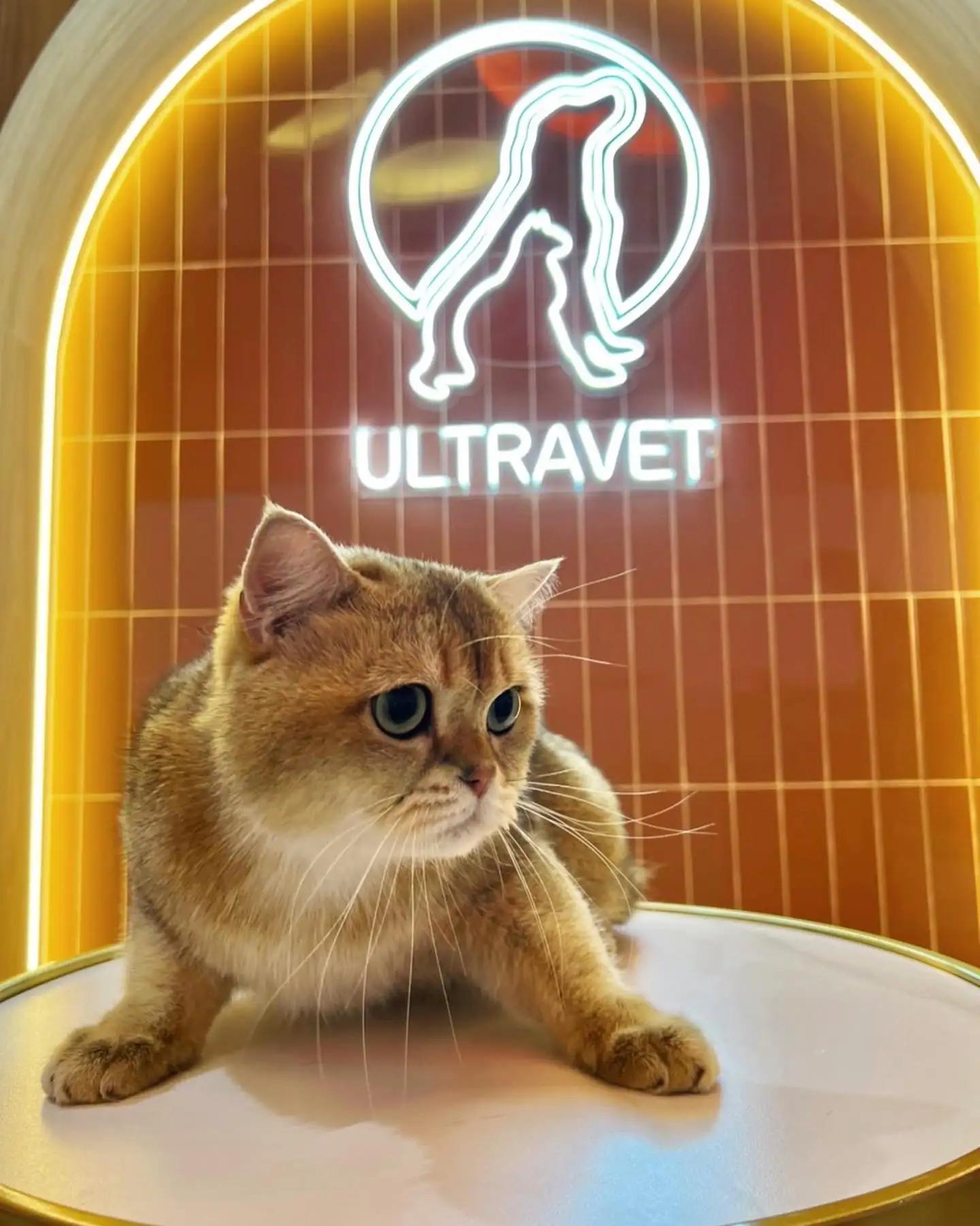 Ultravet Pet Wellness