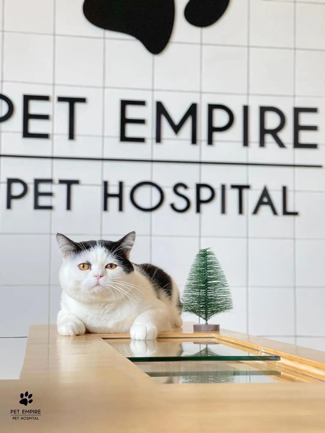 โรงพยาบาลสัตว์เพ็ทเอ็มไพร์ Pet Empire Boutique Pet Hospital  