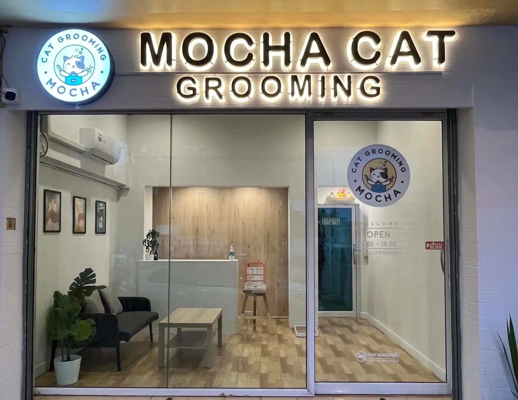 Mocha Cat Grooming