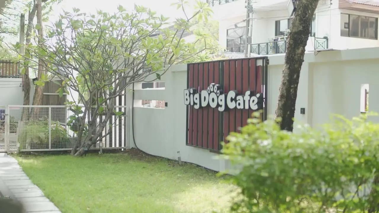 Big Dog Cafe 