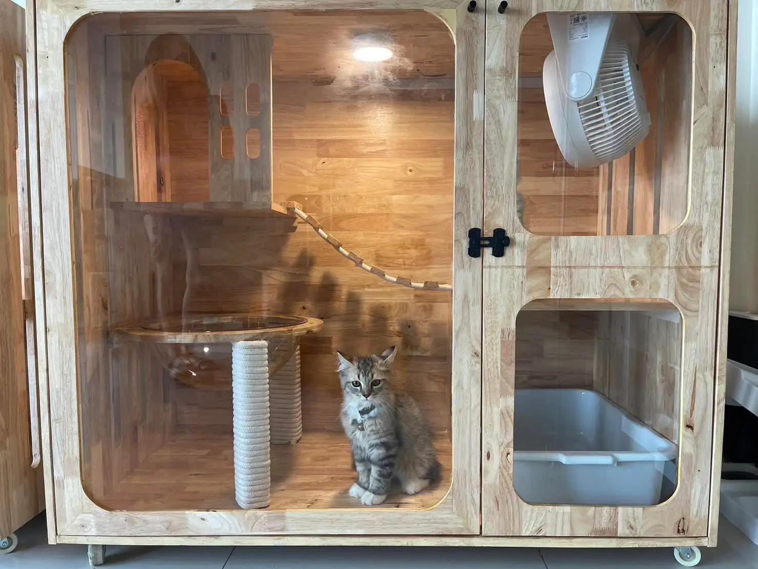 Cat Nit-Tra Cafe’ & Hotel : โรงแรมแมวแคทนิทรา