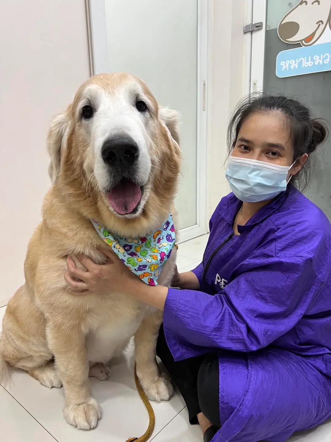 โรงพยาบาลสัตว์หมาแมวยิ้มแฉ่ง ลาดพร้าว 101 