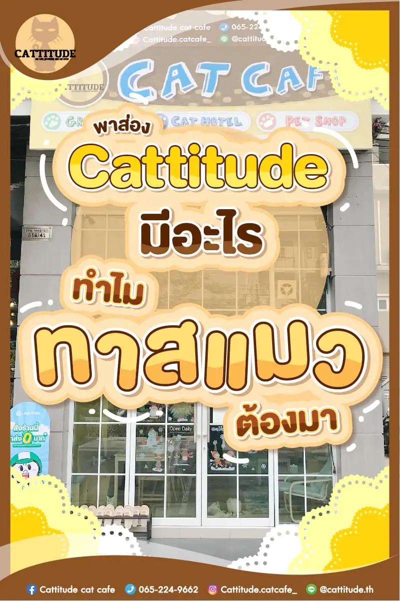 Cattitude cat cafe 