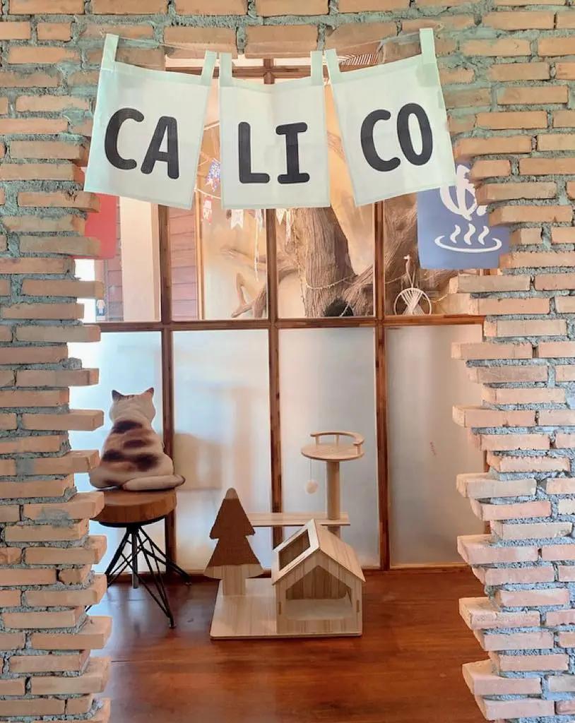 Calico Cat hotel Chiangmai