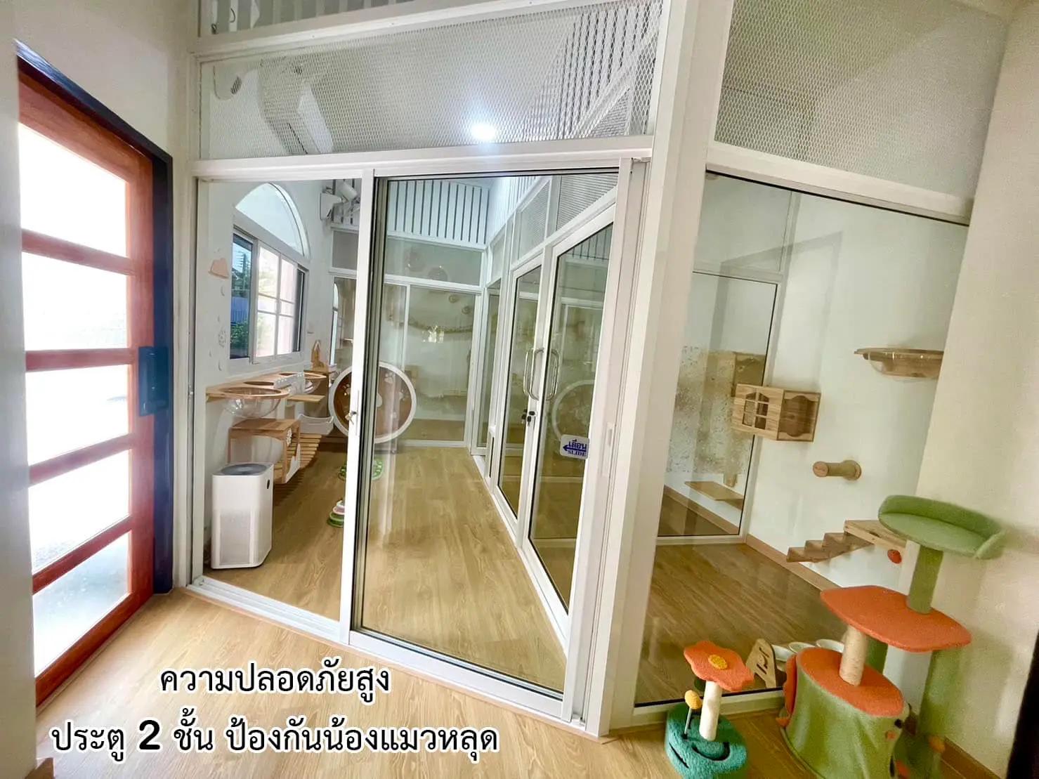 โรงแรมแมวเชียงใหม่ An-An Cat Hotel Chiangmai