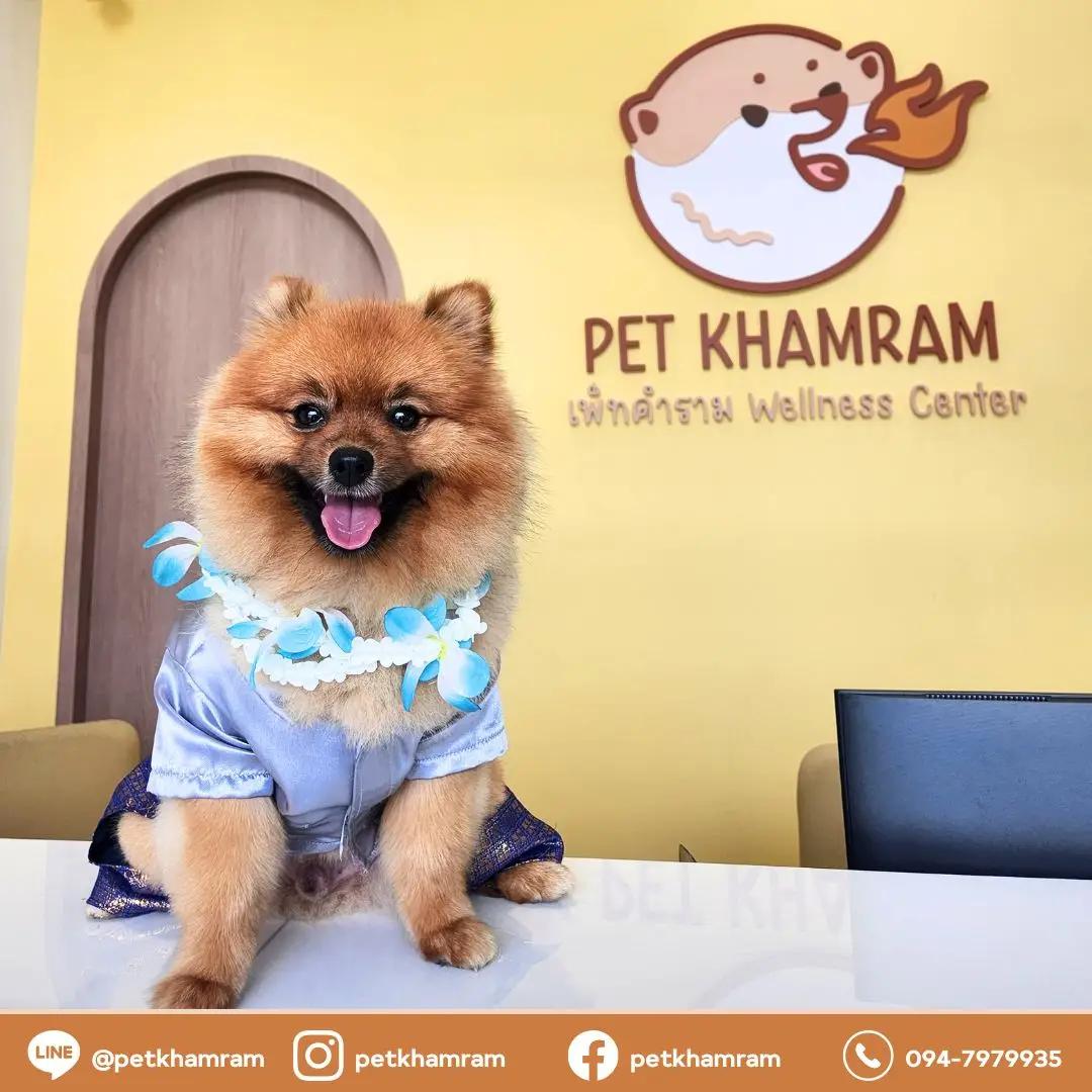 เพ็ทคำราม : Pet Khamram wellness center