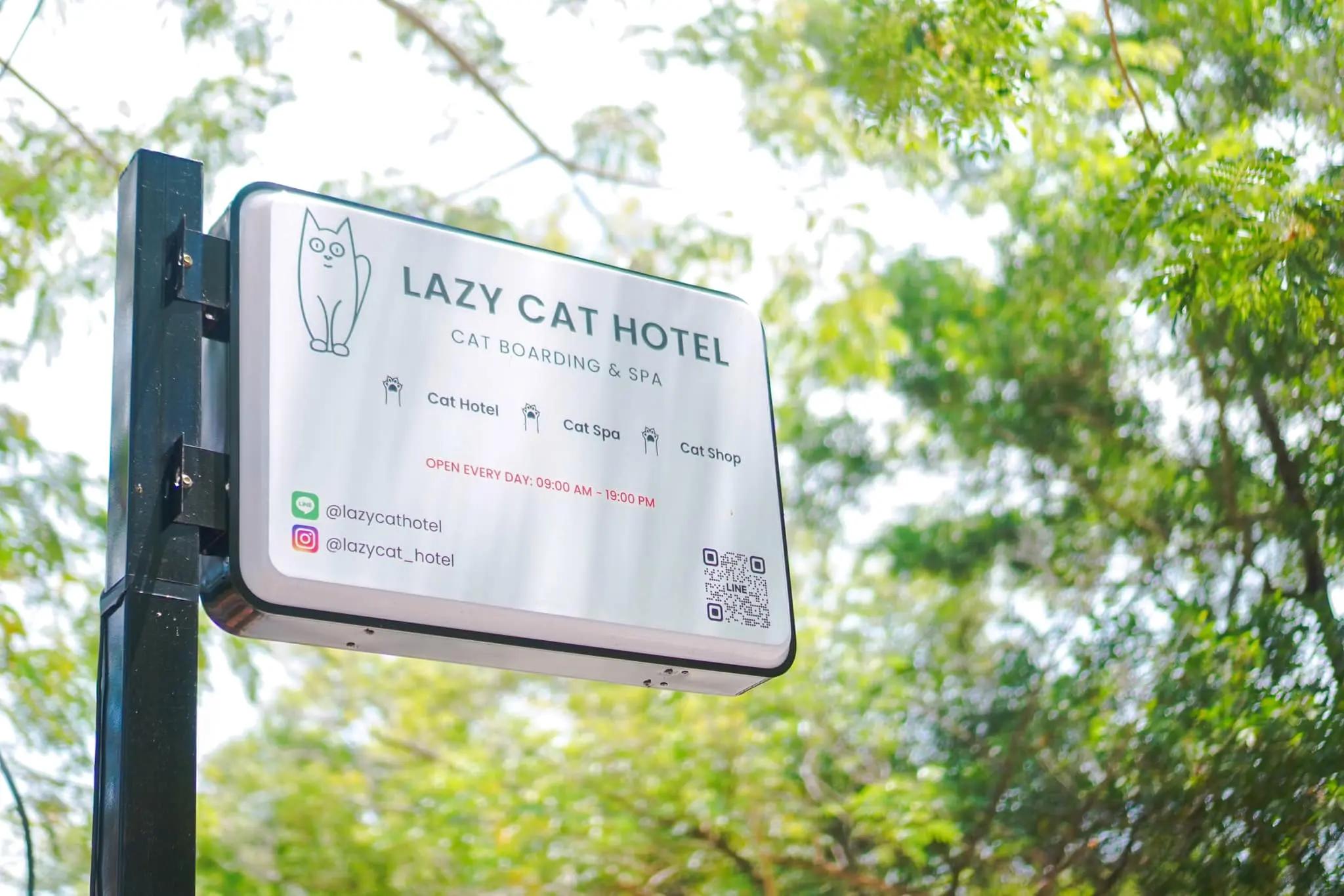Lazy Cat Hotel & Spa