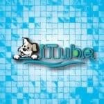 iTube dog swimming pool