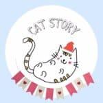  CAT STORY (แคท สตอรี่) Cat Hotel 