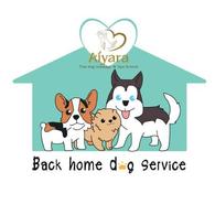 Back Home Dog Service