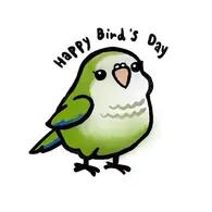 Happy Bird’s Day