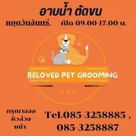 Beloved Pet Grooming