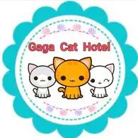 Gaga Cat Hotel 
