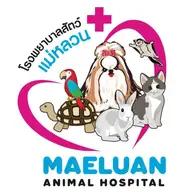 โรงพยาบาลสัตว์แม่หลวน : Maeluan Animal Hospital