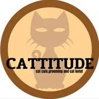Cattitude cat cafe 
