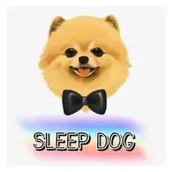 Sleep Dog รับฝากเลี้ยงสุนัขพันธุ์เล็ก ไม่ขังกรง