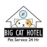  Big Cat Hotel 