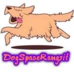Dog Space Rangsit 