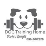 Dog Training Home (ระยอง) 