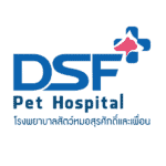  โรงพยาบาลสัตว์หมอสุรศักดิ์และเพื่อน (สำนักงานใหญ่) DSF Pet Hospital 