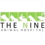 The Nine Animal Hospital (โรงพยาบาลสัตว์เดอะไนน์) 