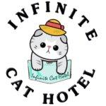 โรงแรมแมว Infinite Cat hotel รับฝากเลี้ยงแมว 