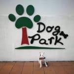 สวนวัชราภิรมย์ (BMA Dog Park) 