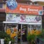  Dog Secret (พัทยา) 